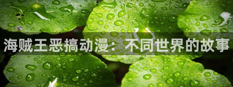 包子漫画下载安装正版：海贼王恶搞动漫：不同世界的故事